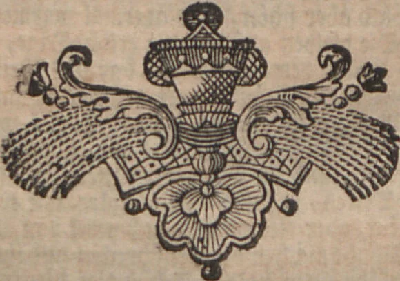 An illustration from (Band 2): ... welcher acht Classen verschiedener sowohl inländischer, als auch einiger ausländischer Insecte enthält, 1749, leaf 585