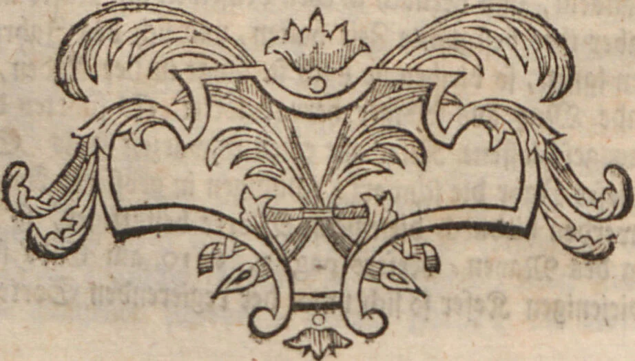 An illustration from (Band 2): ... welcher acht Classen verschiedener sowohl inländischer, als auch einiger ausländischer Insecte enthält, 1749, leaf 67