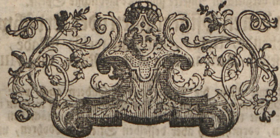 An illustration from (Band 2): ... welcher acht Classen verschiedener sowohl inländischer, als auch einiger ausländischer Insecte enthält, 1749, leaf 705