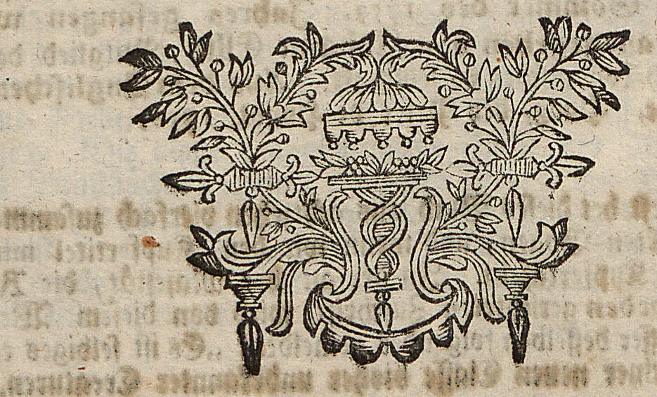 An illustration from (Band 4): ... in welchem auser verschiedenen in- und ausländischen Insecten, auch die hiesige grosse Kreutz-Spinne nach ihrem Ursprung, Wachsthum und andern wunderbaren Eigenschaften, aus eigener Erfahrung beschrieben und in 40. sauber illuminirten Kupfern nach dem Leben abgebildet und vorgestellet worden vo: nebst einer zuverläßigen Nachricht von den Lebensumständen des seel. Verfassers, 1761, leaf 142