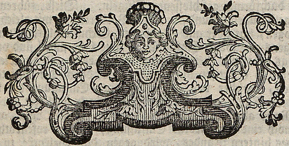 An illustration from (Band 4): ... in welchem auser verschiedenen in- und ausländischen Insecten, auch die hiesige grosse Kreutz-Spinne nach ihrem Ursprung, Wachsthum und andern wunderbaren Eigenschaften, aus eigener Erfahrung beschrieben und in 40. sauber illuminirten Kupfern nach dem Leben abgebildet und vorgestellet worden vo: nebst einer zuverläßigen Nachricht von den Lebensumständen des seel. Verfassers, 1761, leaf 239