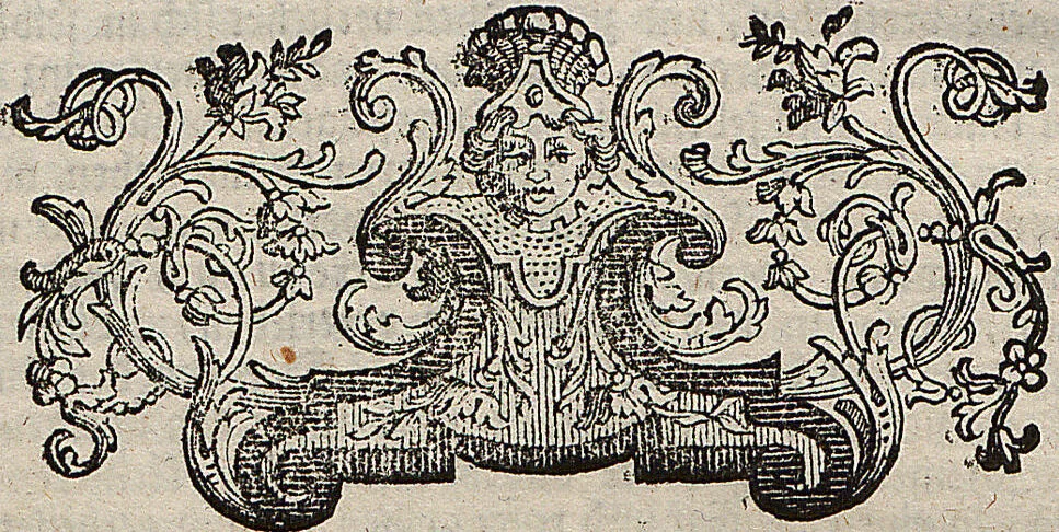 An illustration from (Band 4): ... in welchem auser verschiedenen in- und ausländischen Insecten, auch die hiesige grosse Kreutz-Spinne nach ihrem Ursprung, Wachsthum und andern wunderbaren Eigenschaften, aus eigener Erfahrung beschrieben und in 40. sauber illuminirten Kupfern nach dem Leben abgebildet und vorgestellet worden vo: nebst einer zuverläßigen Nachricht von den Lebensumständen des seel. Verfassers, 1761, leaf 271