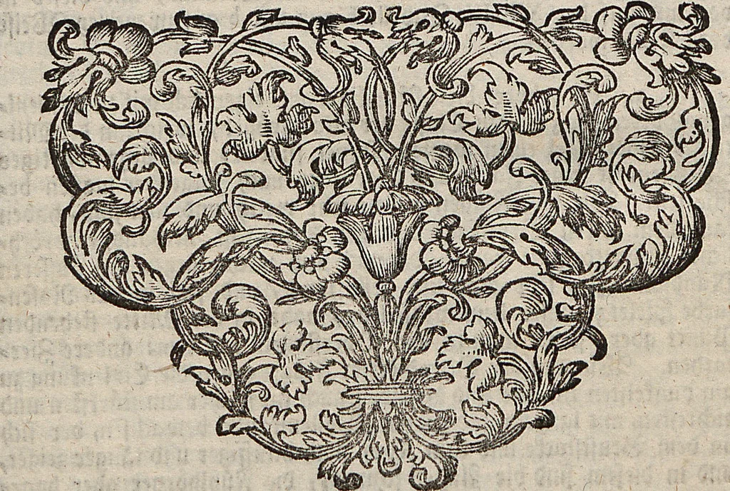 An illustration from (Band 4): ... in welchem auser verschiedenen in- und ausländischen Insecten, auch die hiesige grosse Kreutz-Spinne nach ihrem Ursprung, Wachsthum und andern wunderbaren Eigenschaften, aus eigener Erfahrung beschrieben und in 40. sauber illuminirten Kupfern nach dem Leben abgebildet und vorgestellet worden vo: nebst einer zuverläßigen Nachricht von den Lebensumständen des seel. Verfassers, 1761, leaf 335