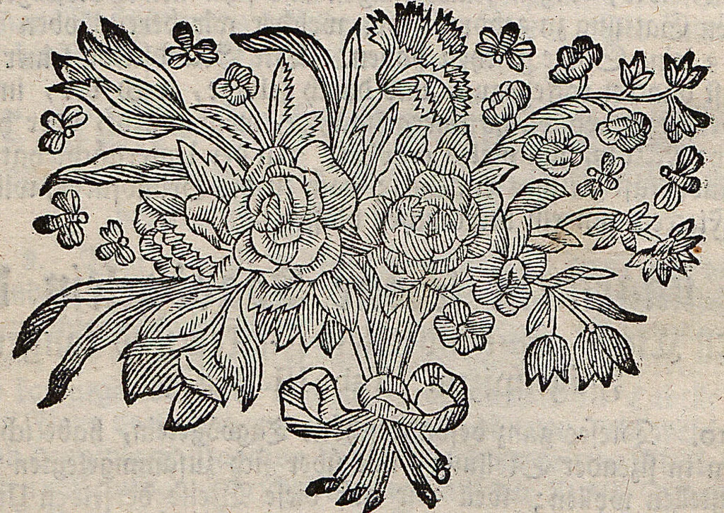 An illustration from (Band 4): ... in welchem auser verschiedenen in- und ausländischen Insecten, auch die hiesige grosse Kreutz-Spinne nach ihrem Ursprung, Wachsthum und andern wunderbaren Eigenschaften, aus eigener Erfahrung beschrieben und in 40. sauber illuminirten Kupfern nach dem Leben abgebildet und vorgestellet worden vo: nebst einer zuverläßigen Nachricht von den Lebensumständen des seel. Verfassers, 1761, leaf 92
