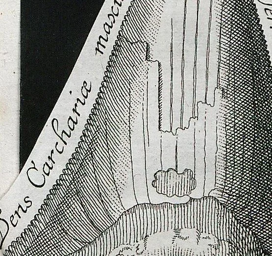 An illustration from Piscium Querelae Et Vindiciae, 1708, leaf 30