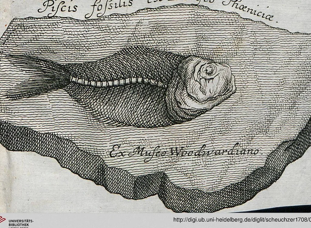 An illustration from Piscium Querelae Et Vindiciae, 1708, leaf 40