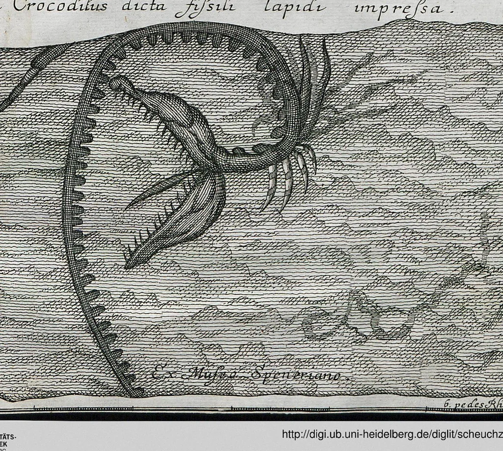 An illustration from Piscium Querelae Et Vindiciae, 1708, leaf 52