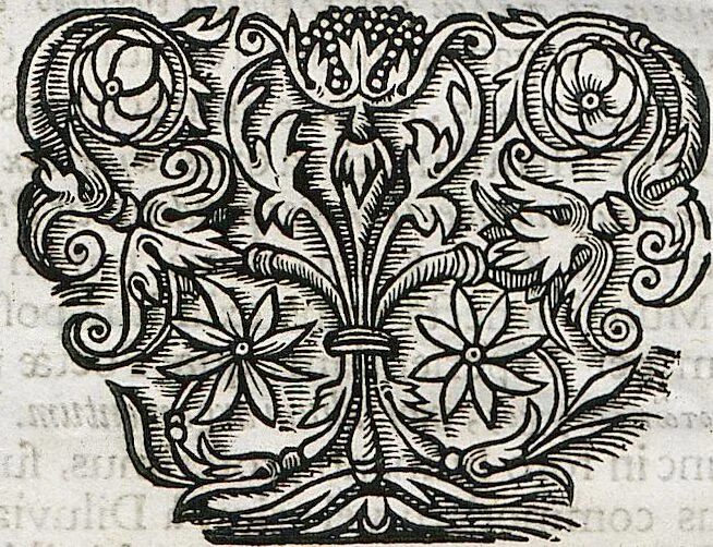 An illustration from Piscium Querelae Et Vindiciae, 1708, leaf 61