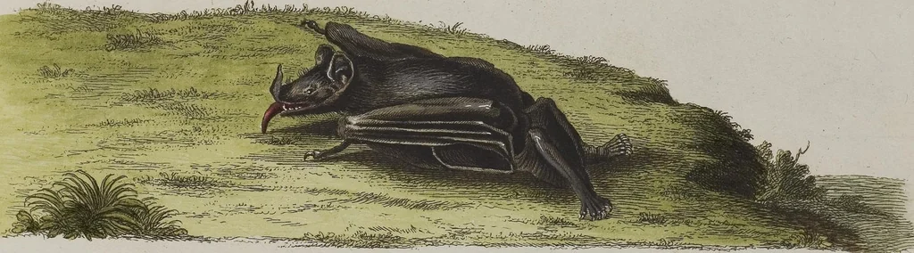 An illustration from (Tafelband 1): Theil 1 - 3 und Supplement 1 u. 2: Taf. I - CLXV, 1775, leaf 128