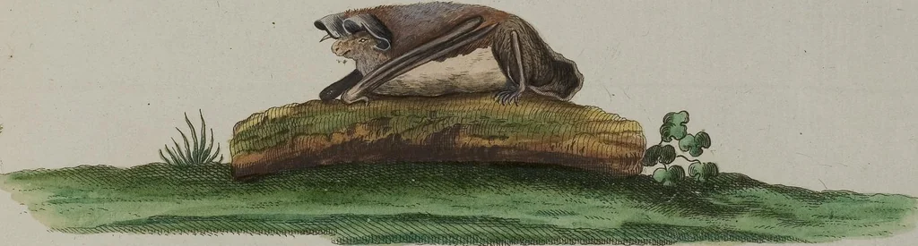 An illustration from (Tafelband 1): Theil 1 - 3 und Supplement 1 u. 2: Taf. I - CLXV, 1775, leaf 130