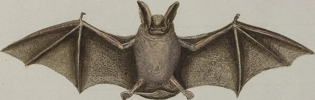 An illustration from (Tafelband 1): Theil 1 - 3 und Supplement 1 u. 2: Taf. I - CLXV, 1775, leaf 132