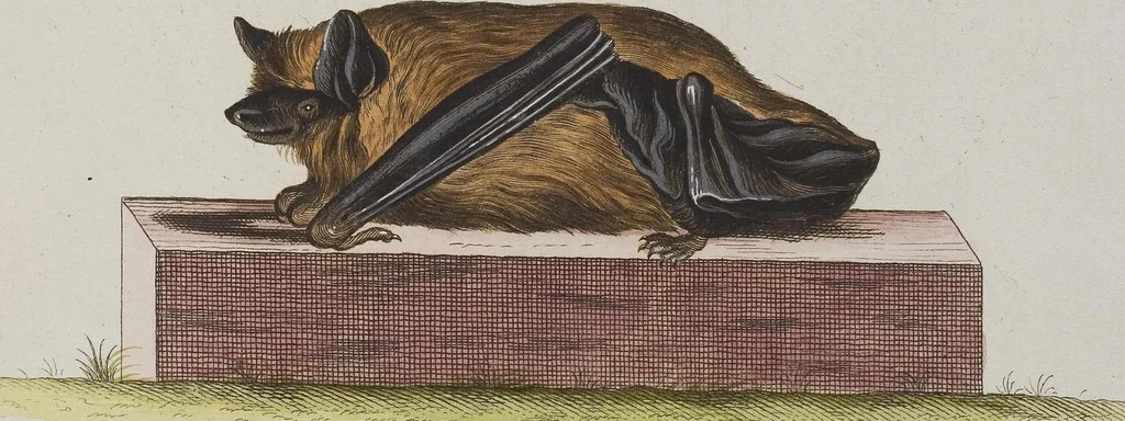 An illustration from (Tafelband 1): Theil 1 - 3 und Supplement 1 u. 2: Taf. I - CLXV, 1775, leaf 134