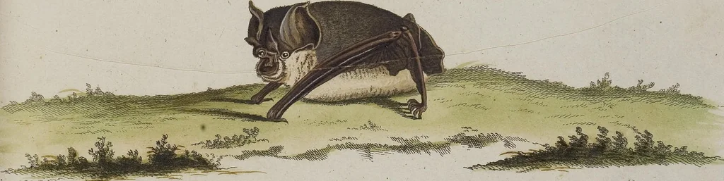 An illustration from (Tafelband 1): Theil 1 - 3 und Supplement 1 u. 2: Taf. I - CLXV, 1775, leaf 148
