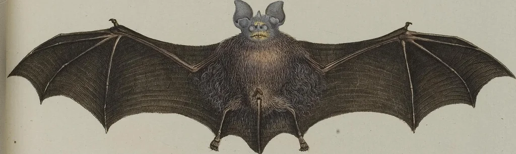 An illustration from (Tafelband 1): Theil 1 - 3 und Supplement 1 u. 2: Taf. I - CLXV, 1775, leaf 149