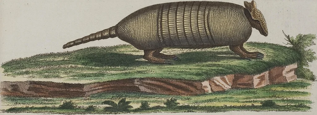 An illustration from (Tafelband 1): Theil 1 - 3 und Supplement 1 u. 2: Taf. I - CLXV, 1775, leaf 167