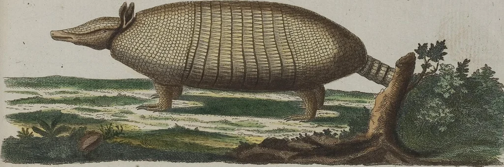 An illustration from (Tafelband 1): Theil 1 - 3 und Supplement 1 u. 2: Taf. I - CLXV, 1775, leaf 168