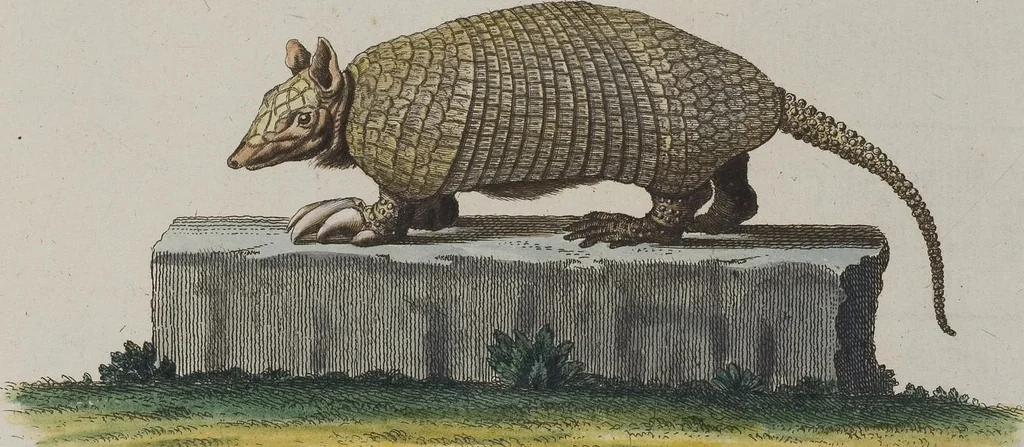 An illustration from (Tafelband 1): Theil 1 - 3 und Supplement 1 u. 2: Taf. I - CLXV, 1775, leaf 170