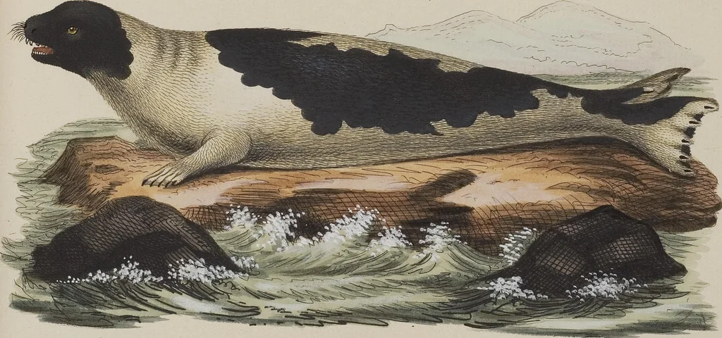 An illustration from (Tafelband 1): Theil 1 - 3 und Supplement 1 u. 2: Taf. I - CLXV, 1775, leaf 185