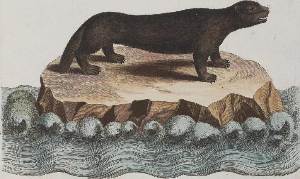 An illustration from (Tafelband 1): Theil 1 - 3 und Supplement 1 u. 2: Taf. I - CLXV, 1775, leaf 283