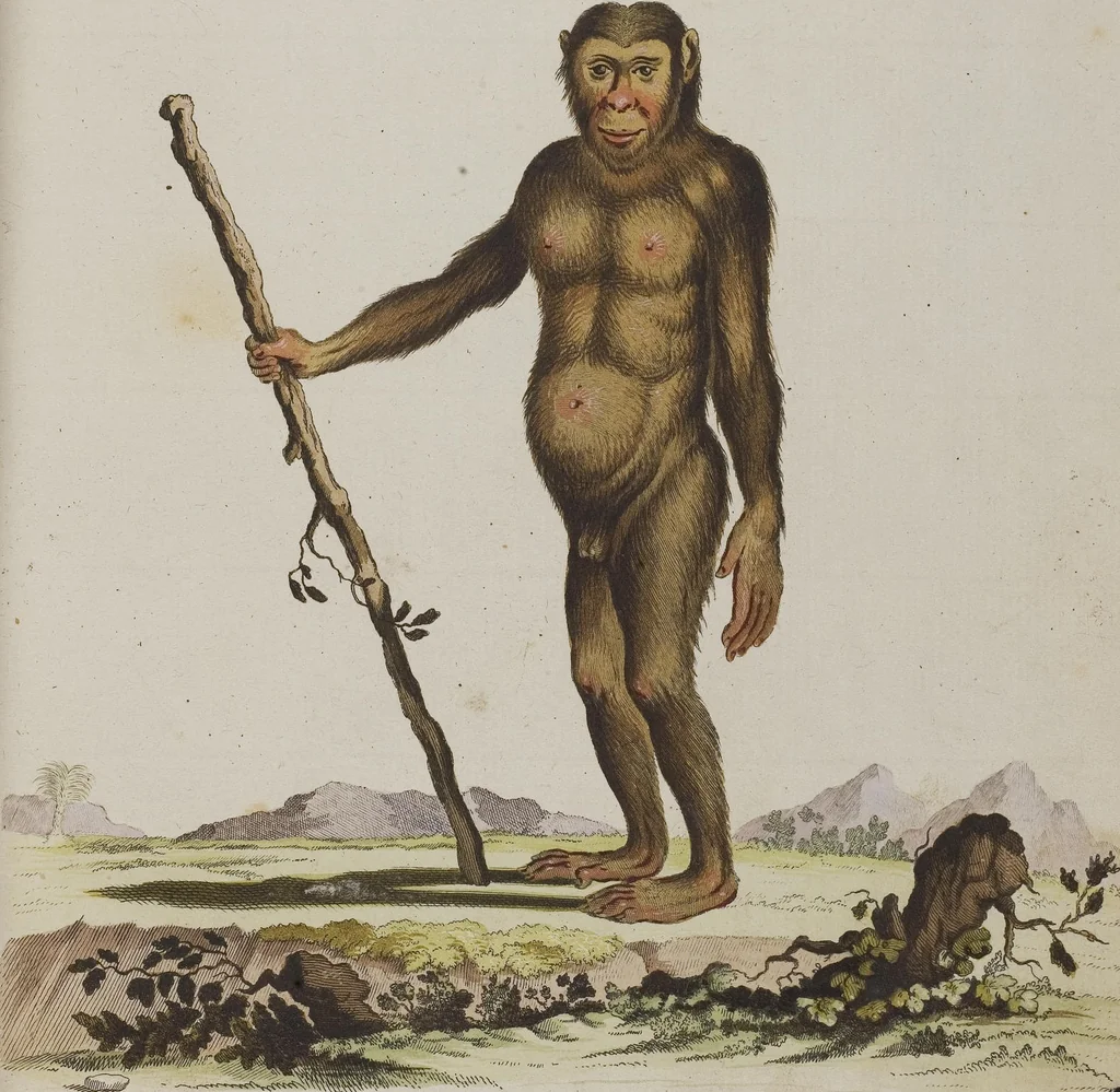 An illustration from (Tafelband 1): Theil 1 - 3 und Supplement 1 u. 2: Taf. I - CLXV, 1775, leaf 7