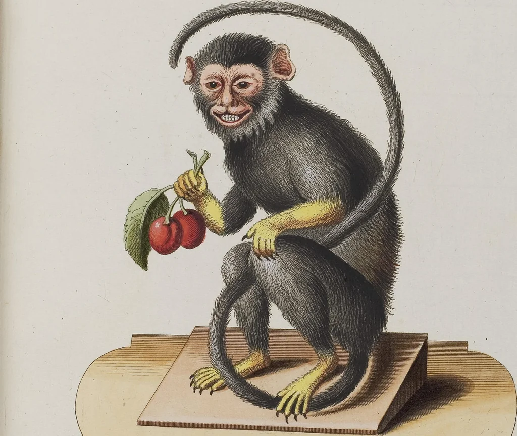 An illustration from (Tafelband 1): Theil 1 - 3 und Supplement 1 u. 2: Taf. I - CLXV, 1775, leaf 99