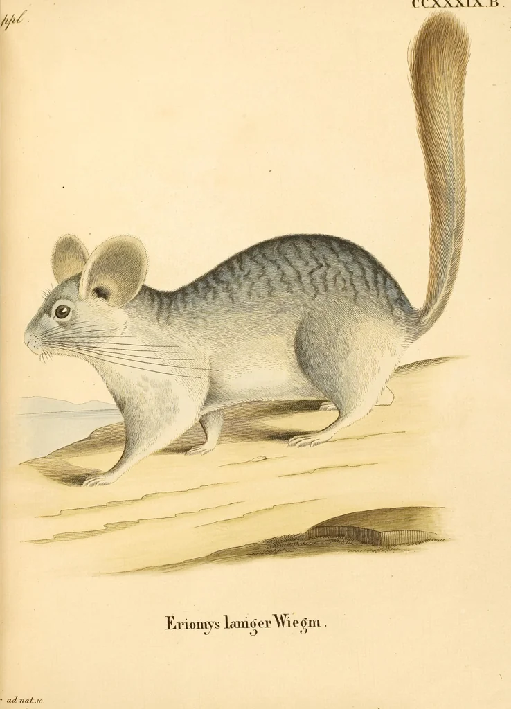 An illustration from (Tafelband 2): Theil 4 - 7 und Supplement 3 u. 4: Taf. CLXVI - CCCLXXXIV, 1792, leaf 141