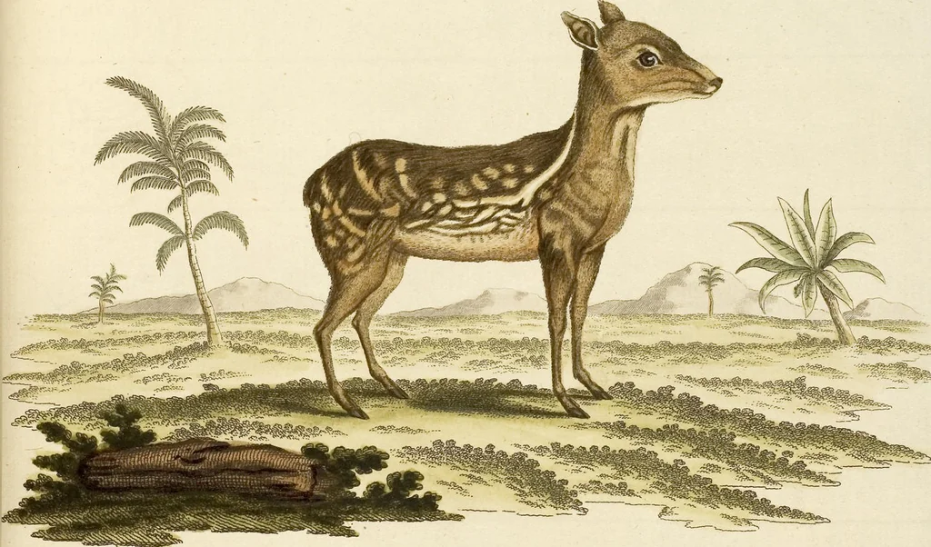An illustration from (Tafelband 2): Theil 4 - 7 und Supplement 3 u. 4: Taf. CLXVI - CCCLXXXIV, 1792, leaf 154