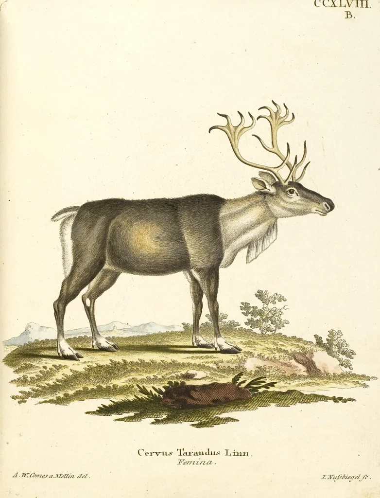 An illustration from (Tafelband 2): Theil 4 - 7 und Supplement 3 u. 4: Taf. CLXVI - CCCLXXXIV, 1792, leaf 176