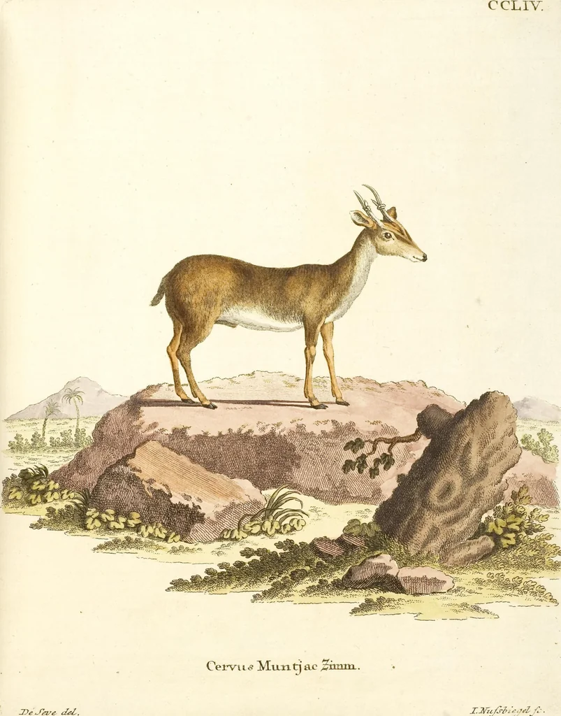 An illustration from (Tafelband 2): Theil 4 - 7 und Supplement 3 u. 4: Taf. CLXVI - CCCLXXXIV, 1792, leaf 192