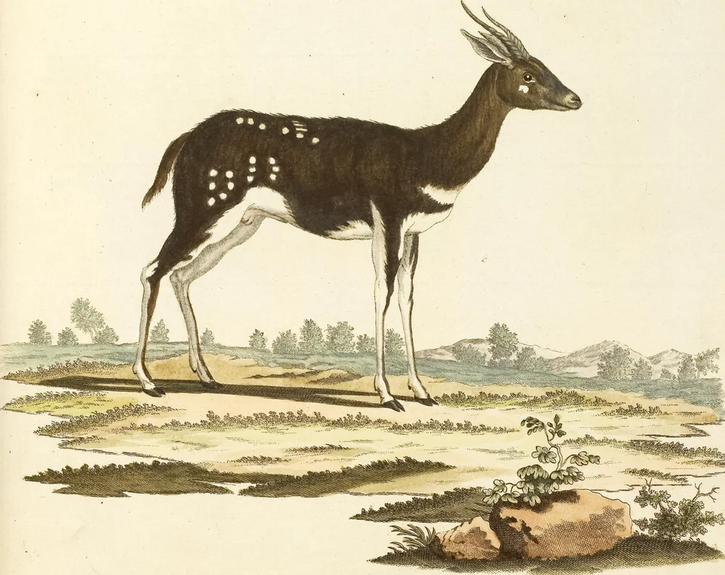 An illustration from (Tafelband 2): Theil 4 - 7 und Supplement 3 u. 4: Taf. CLXVI - CCCLXXXIV, 1792, leaf 201