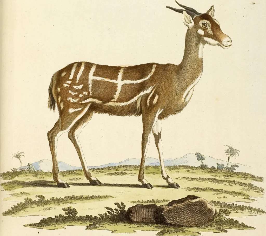 An illustration from (Tafelband 2): Theil 4 - 7 und Supplement 3 u. 4: Taf. CLXVI - CCCLXXXIV, 1792, leaf 202