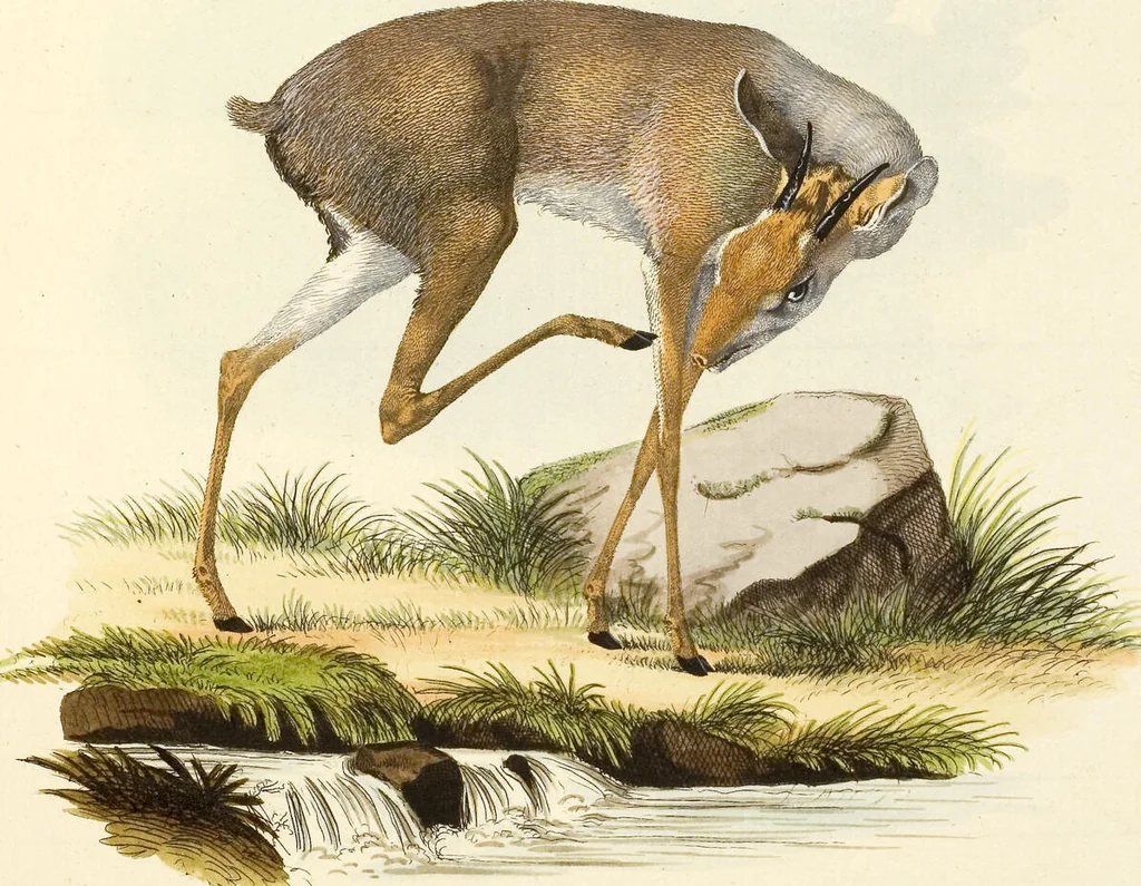 An illustration from (Tafelband 2): Theil 4 - 7 und Supplement 3 u. 4: Taf. CLXVI - CCCLXXXIV, 1792, leaf 206