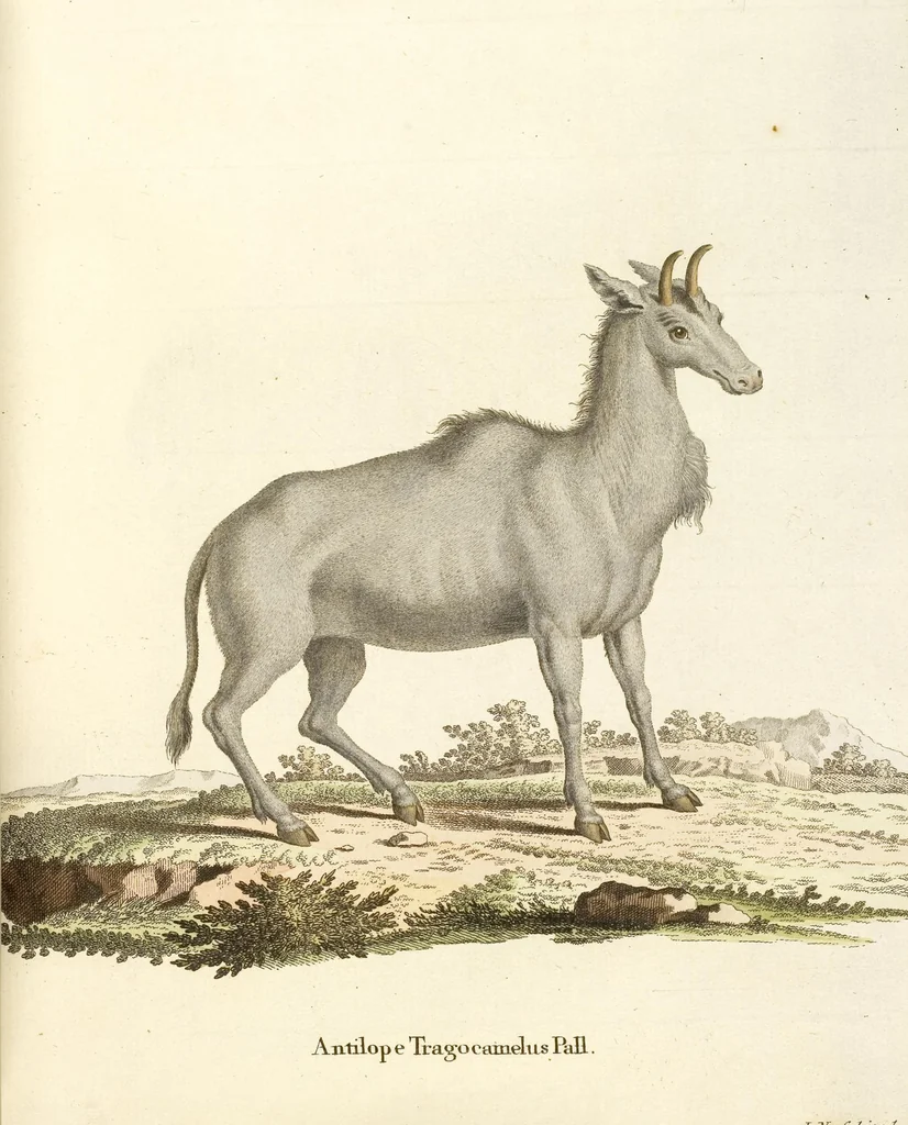 An illustration from (Tafelband 2): Theil 4 - 7 und Supplement 3 u. 4: Taf. CLXVI - CCCLXXXIV, 1792, leaf 208
