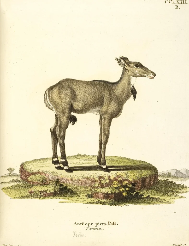 An illustration from (Tafelband 2): Theil 4 - 7 und Supplement 3 u. 4: Taf. CLXVI - CCCLXXXIV, 1792, leaf 210