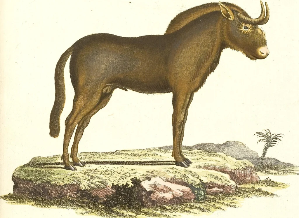 An illustration from (Tafelband 2): Theil 4 - 7 und Supplement 3 u. 4: Taf. CLXVI - CCCLXXXIV, 1792, leaf 235