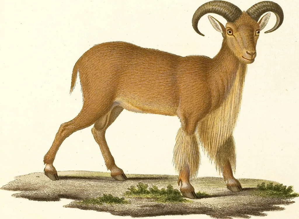 An illustration from (Tafelband 2): Theil 4 - 7 und Supplement 3 u. 4: Taf. CLXVI - CCCLXXXIV, 1792, leaf 259