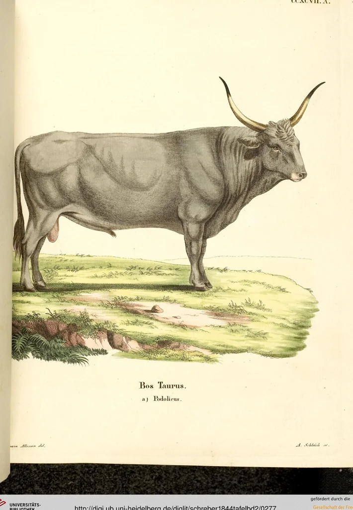 An illustration from (Tafelband 2): Theil 4 - 7 und Supplement 3 u. 4: Taf. CLXVI - CCCLXXXIV, 1792, leaf 277