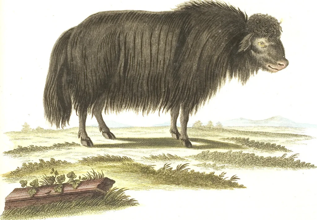 An illustration from (Tafelband 2): Theil 4 - 7 und Supplement 3 u. 4: Taf. CLXVI - CCCLXXXIV, 1792, leaf 284