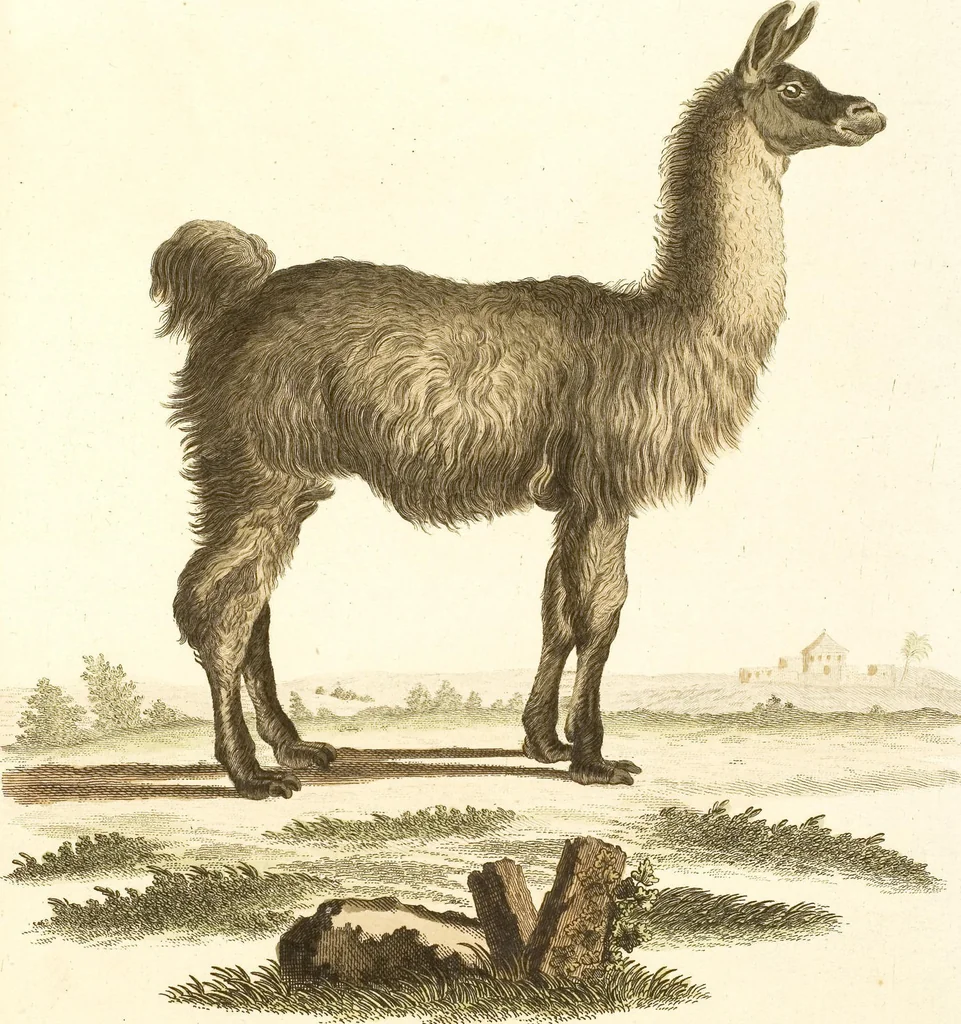 An illustration from (Tafelband 2): Theil 4 - 7 und Supplement 3 u. 4: Taf. CLXVI - CCCLXXXIV, 1792, leaf 293