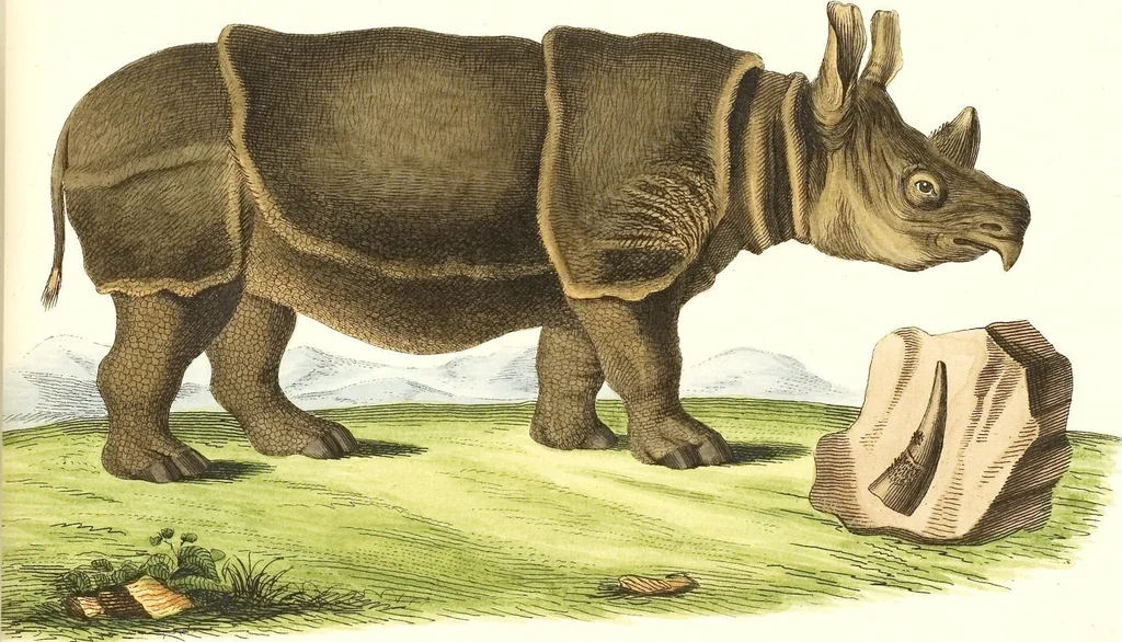 An illustration from (Tafelband 2): Theil 4 - 7 und Supplement 3 u. 4: Taf. CLXVI - CCCLXXXIV, 1792, leaf 319