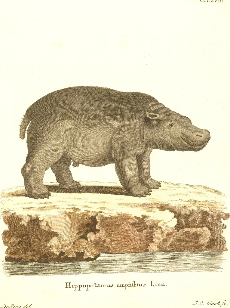 An illustration from (Tafelband 2): Theil 4 - 7 und Supplement 3 u. 4: Taf. CLXVI - CCCLXXXIV, 1792, leaf 325