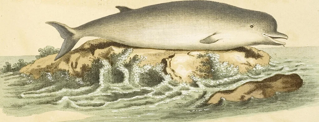 An illustration from (Tafelband 2): Theil 4 - 7 und Supplement 3 u. 4: Taf. CLXVI - CCCLXXXIV, 1792, leaf 365