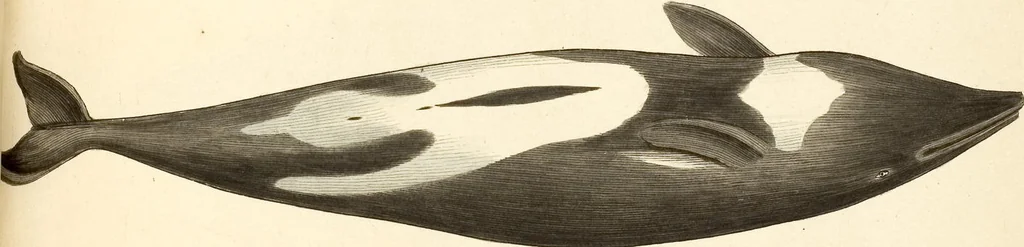 An illustration from (Tafelband 2): Theil 4 - 7 und Supplement 3 u. 4: Taf. CLXVI - CCCLXXXIV, 1792, leaf 370