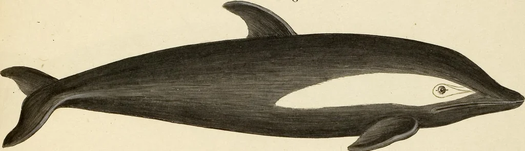 An illustration from (Tafelband 2): Theil 4 - 7 und Supplement 3 u. 4: Taf. CLXVI - CCCLXXXIV, 1792, leaf 373