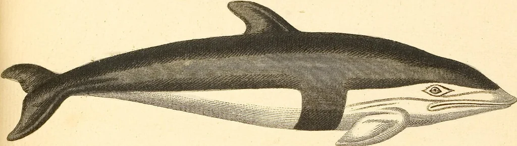 An illustration from (Tafelband 2): Theil 4 - 7 und Supplement 3 u. 4: Taf. CLXVI - CCCLXXXIV, 1792, leaf 374