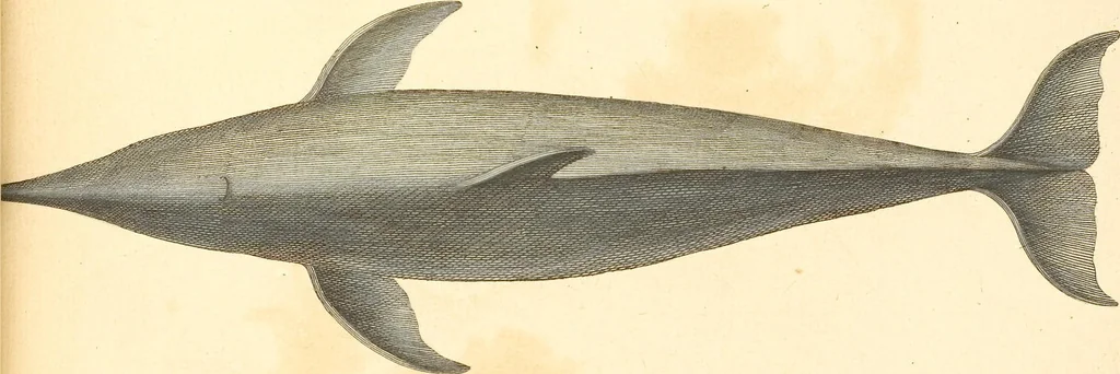 An illustration from (Tafelband 2): Theil 4 - 7 und Supplement 3 u. 4: Taf. CLXVI - CCCLXXXIV, 1792, leaf 378