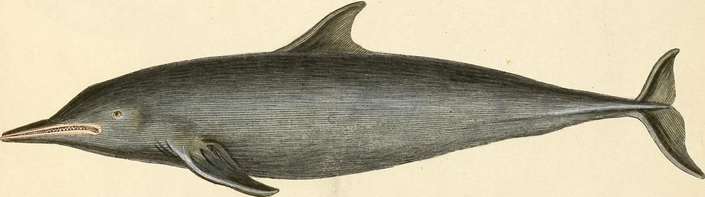 An illustration from (Tafelband 2): Theil 4 - 7 und Supplement 3 u. 4: Taf. CLXVI - CCCLXXXIV, 1792, leaf 380