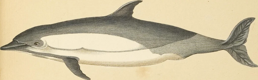 An illustration from (Tafelband 2): Theil 4 - 7 und Supplement 3 u. 4: Taf. CLXVI - CCCLXXXIV, 1792, leaf 381