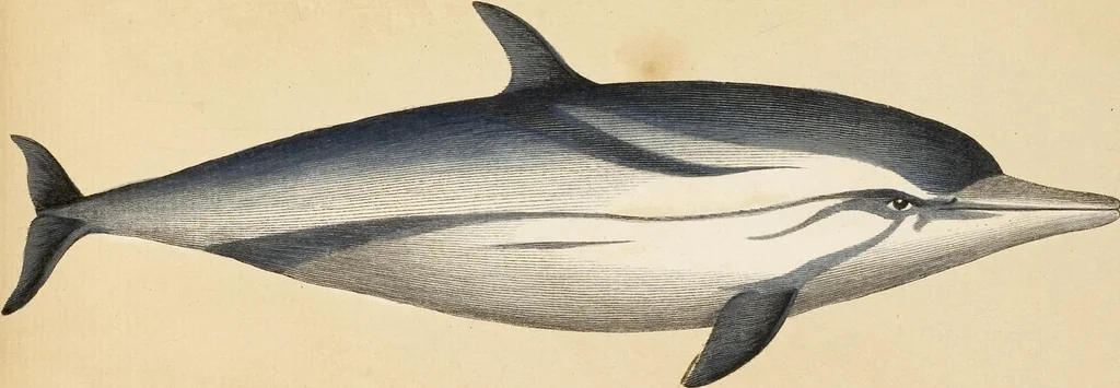 An illustration from (Tafelband 2): Theil 4 - 7 und Supplement 3 u. 4: Taf. CLXVI - CCCLXXXIV, 1792, leaf 382