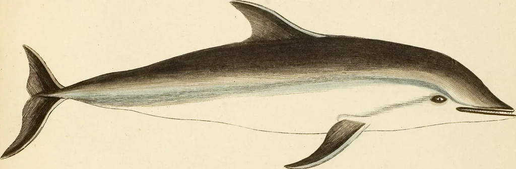 An illustration from (Tafelband 2): Theil 4 - 7 und Supplement 3 u. 4: Taf. CLXVI - CCCLXXXIV, 1792, leaf 386